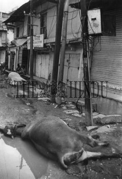 Image Id : 1336717 <span>Date : 1992-10-12 <span>Category : Disaster and Accident</span>