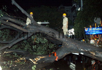 Image Id : 1843224 <span>Date : 2003-10-21 <span>Category : Disaster and Accident</span>