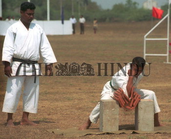 Image Id : 2516225 <span>Date : 2004-03-19 <span>Category : Sport</span>