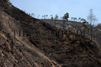 Image Id : 2551881 <span>Date : 2004-03-26 <span>Category : Disaster and Accident</span>
