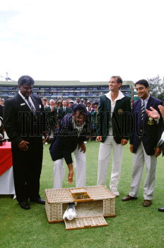 Image Id : 4284318 <span>Date : 1992-11-13 <span>Category : Sport</span>