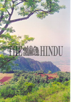 Image Id : 4608992 <span>Date : 2005-03-30 <span>Category : Lifestyle and Leisure</span>