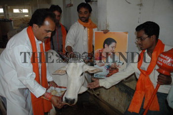 Image Id : 4825737 <span>Date : 2005-05-03 <span>Category : Politics</span>