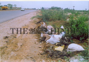 Image Id : 4996760 <span>Date : 2005-05-02 <span>Category : Environment</span>