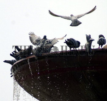 Image Id : 5028090 <span>Date : 2005-06-04 <span>Category : Human Interest</span>