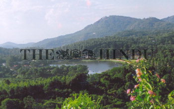 Image Id : 5087062 <span>Date : 2005-06-14 <span>Category : Lifestyle and Leisure</span>