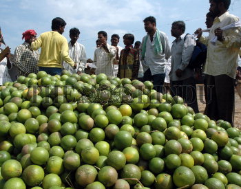 Gaddiannaram fruit outlet market in hyderabad