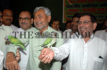 Image Id : 5630815 <span>Date : 2005-09-14 <span>Category : Politics</span>