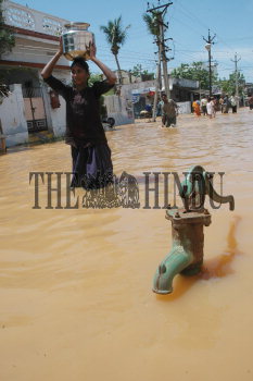Image Id : 5683926 <span>Date : 2005-09-22 <span>Category : Disaster and Accident</span>
