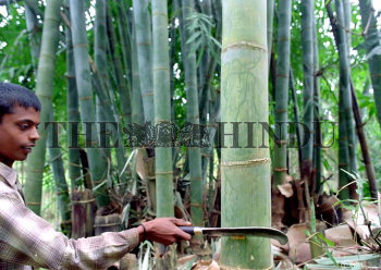 Image Id : 5736709 <span>Date : 2005-09-30 <span>Category : Economy Business and Finance</span>