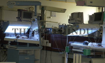 Image Id : 6464610 <span>Date : 2006-01-03 <span>Category : Health</span>