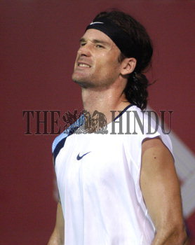 Image Id : 6520152 <span>Date : 2006-01-08 <span>Category : Sport</span>