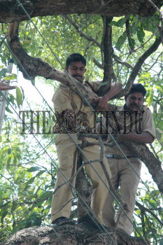 Image Id : 7072676 <span>Date : 2006-03-11 <span>Category : Crime Law and Justice</span>