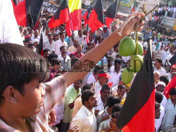 Image Id : 7636364 <span>Date : 2006-04-28 <span>Category : Politics</span>