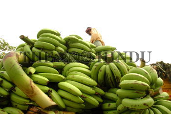 Image Id : 7678646 <span>Date : 2006-05-04 <span>Category : Economy Business and Finance</span>