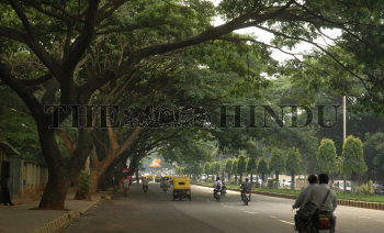 Image Id : 7900975 <span>Date : 2006-05-26 <span>Category : Environment</span>