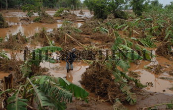 Image Id : 8372872 <span>Date : 2006-07-04 <span>Category : Disaster and Accident</span>