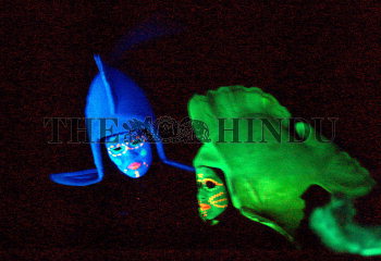Image Id : 9621833 <span>Date : 2006-10-02 <span>Category : Arts Culture and Entertainment</span>