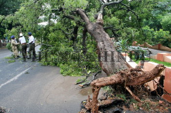 Image Id : 10107272 <span>Date : 2006-10-31 <span>Category : Disaster and Accident</span>