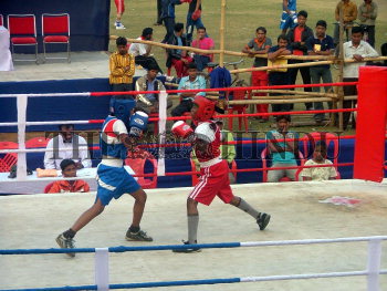 Image Id : 16038061 <span>Date : 2007-12-29 <span>Category : Sport</span>
