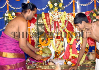 Image Id : 16305265 <span>Date : 2008-01-14 <span>Category : Religion and Belief</span>
