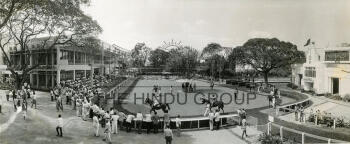 Image Id : 332282384 <span>Date : 1991-12-31 <span>Category : Sport</span>