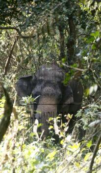 Image Id : 407599701 <span>Date : 2023-01-04 <span>Category : Human Interest</span>