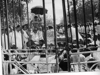 Image Id : 472852760 <span>Date : 1974-10-08 <span>Category : Politics</span>