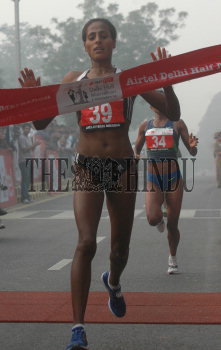Image Id : 105616939 <span>Date : 2008-11-09 <span>Category : Sport</span>