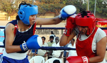 Image Id : 106952272 <span>Date : 2009-01-30 <span>Category : Sport</span>