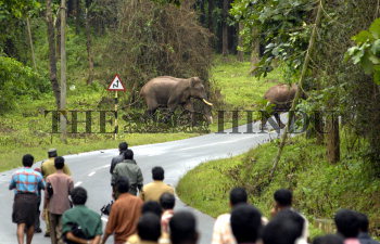 Image Id : 110060384 <span>Date : 2009-08-04 <span>Category : Human Interest</span>