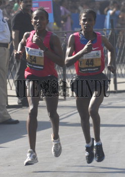 Image Id : 113243851 <span>Date : 2010-01-17 <span>Category : Sport</span>