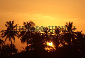 Image Id : 117933189 <span>Date : 2010-09-02 <span>Category : Environment</span>