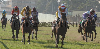 Image Id : 120710959 <span>Date : 2011-01-26 <span>Category : Sport</span>