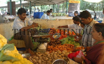Image Id : 123394412 <span>Date : 2011-04-17 <span>Category : Economy Business and Finance</span>