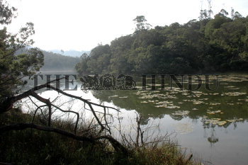 Image Id : 124835560 <span>Date : 2011-06-04 <span>Category : Environment</span>