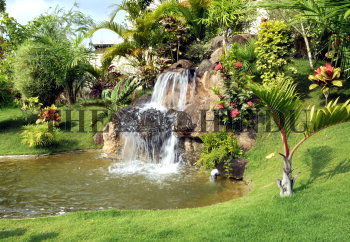 Image Id : 125477757 <span>Date : 2011-06-27 <span>Category : Environment</span>