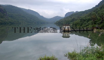 Image Id : 125966827 <span>Date : 2011-07-21 <span>Category : Environment</span>