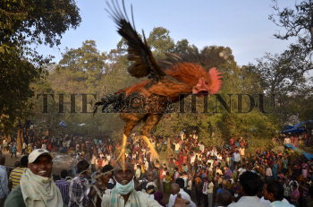 Image Id : 130956318 <span>Date : 2012-02-11 <span>Category : Religion and Belief</span>