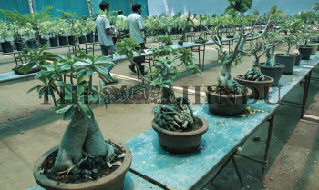 Image Id : 132202673 <span>Date : 2012-04-05 <span>Category : Arts Culture and Entertainment</span>
