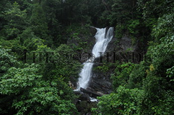 Image Id : 134435450 <span>Date : 2012-07-06 <span>Category : Environment</span>