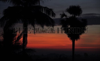 Image Id : 135677634 <span>Date : 2012-08-26 <span>Category : Environment</span>