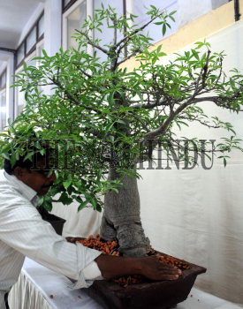 Image Id : 135768095 <span>Date : 2012-08-30 <span>Category : Economy Business and Finance</span>