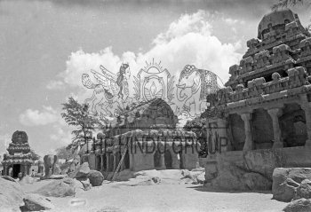 Image Id : 135970634 <span>Date : 1981-03-21 <span>Category : Arts Culture and Entertainment</span>
