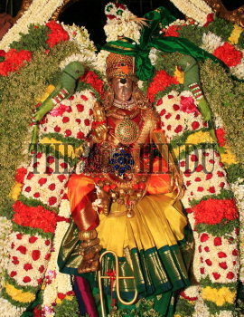 Image Id : 139663581 <span>Date : 2013-01-15 <span>Category : Religion and Belief</span>