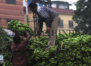 Image Id : 154952117 <span>Date : 2014-07-12 <span>Category : Economy Business and Finance</span>
