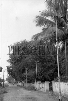 Image Id : 155741938 <span>Date : 1979-12-25 <span>Category : Politics</span>