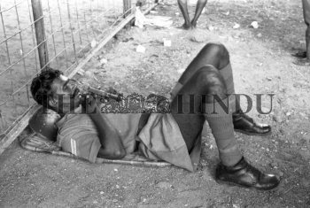 Image Id : 156562386 <span>Date : 1970-01-01 <span>Category : Crime Law and Justice</span>