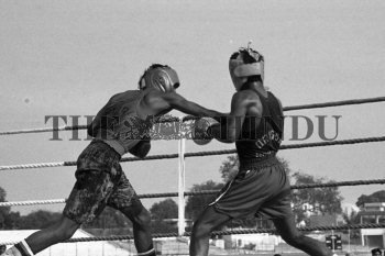 Image Id : 158076350 <span>Date : 1994-02-07 <span>Category : Sport</span>