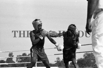 Image Id : 158076356 <span>Date : 1994-02-07 <span>Category : Sport</span>